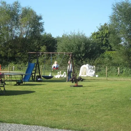 Deichhof 4 Rotkehlchen
