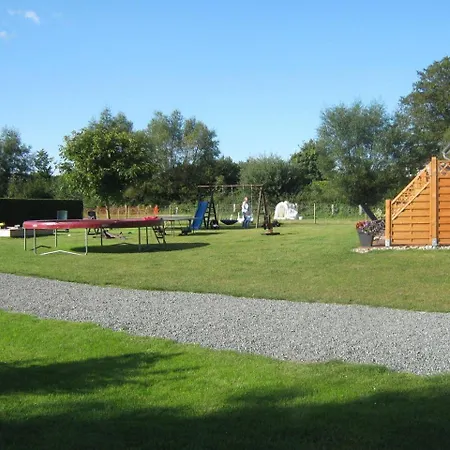 Deichhof 4 Rotkehlchen