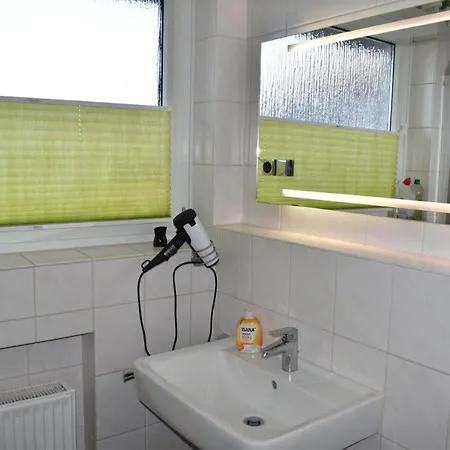 Deichhof 4 Rotkehlchen